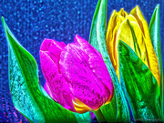 1st Mar 2013 - 1.3.13 Tulip Art