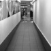 ghosts in the hallway by corymbia