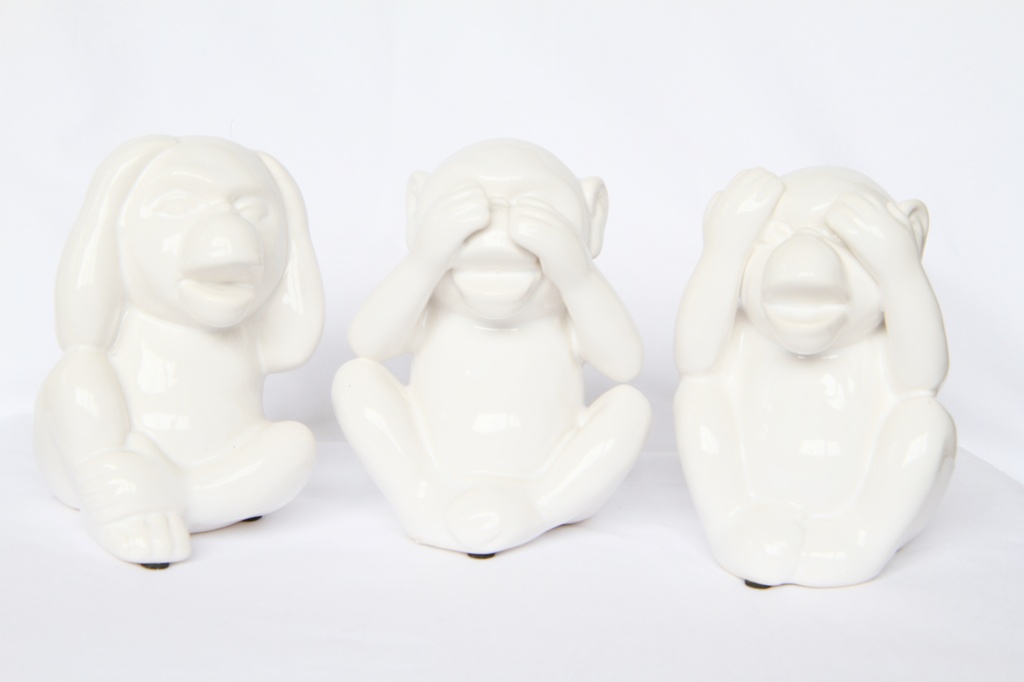 Three wise monkeys..... by anne2013