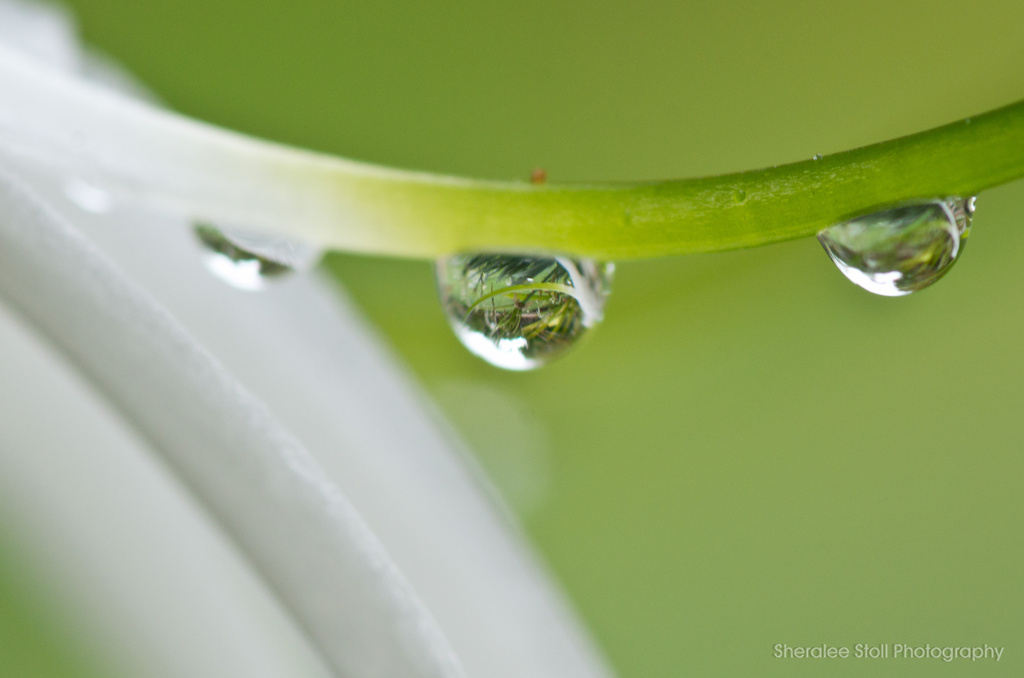 Droplet I by bella_ss
