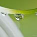 Droplet I by bella_ss