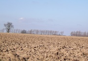 2nd Mar 2013 - We plough the fields and scatter ....