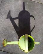 2nd Mar 2013 - The old green watering can.