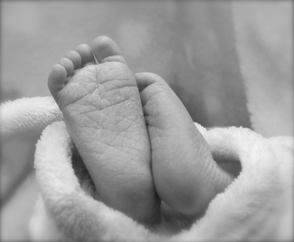 Baby Feet by juletee