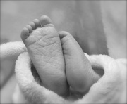 21st Feb 2013 - Baby Feet