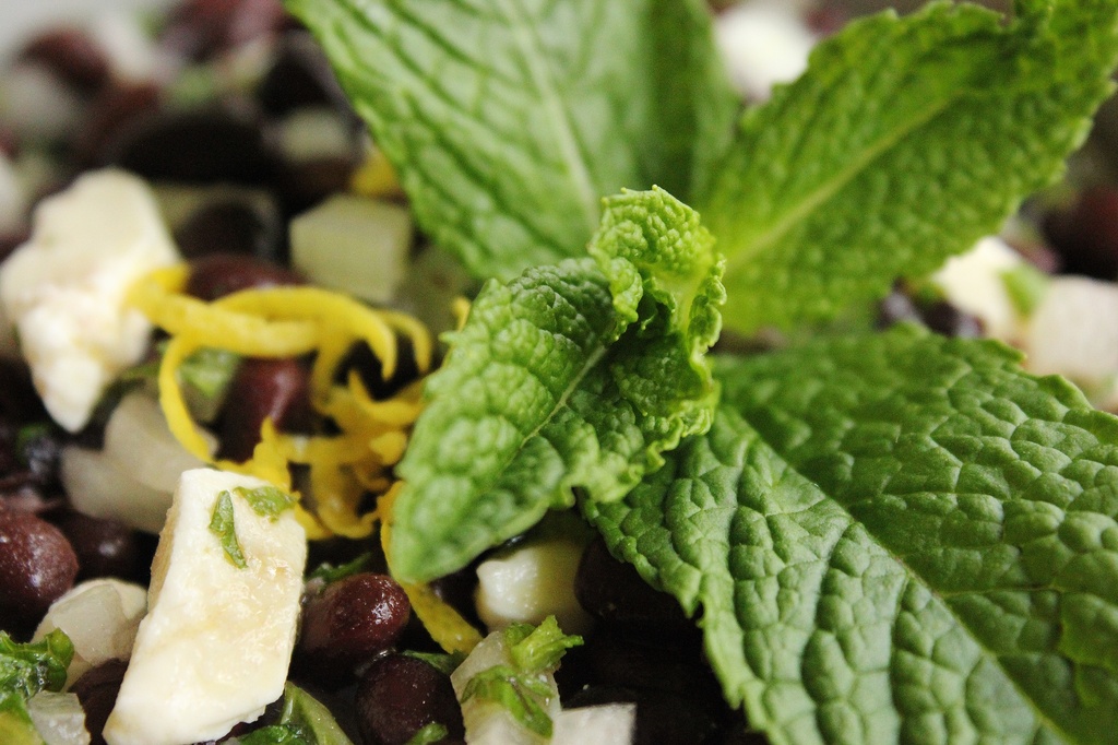 Black Bean and Mint Salad by darylo