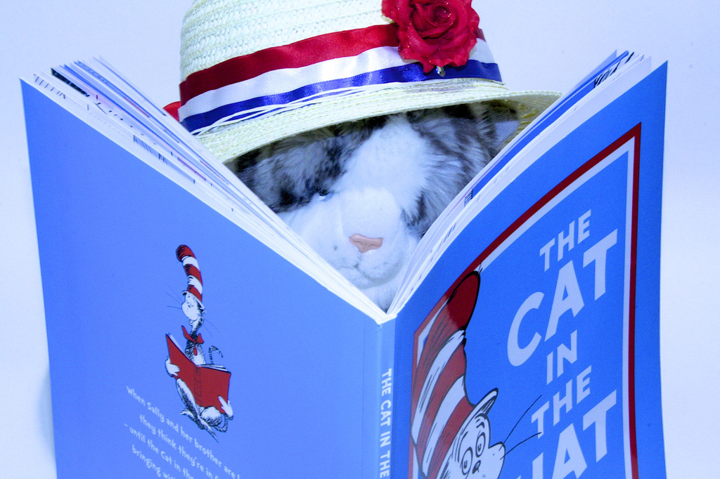 The Cat in the Hat engrossed in the Cat in the Hat by nicolaeastwood