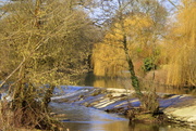 2nd Mar 2013 - The weir on the river Teme..... 