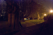 2nd Mar 2013 - Dark in the Park