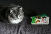 2nd Mar 2013 - Maybe mommy will read me some books before my nap