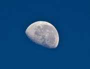 3rd Mar 2013 - Moon in the morning