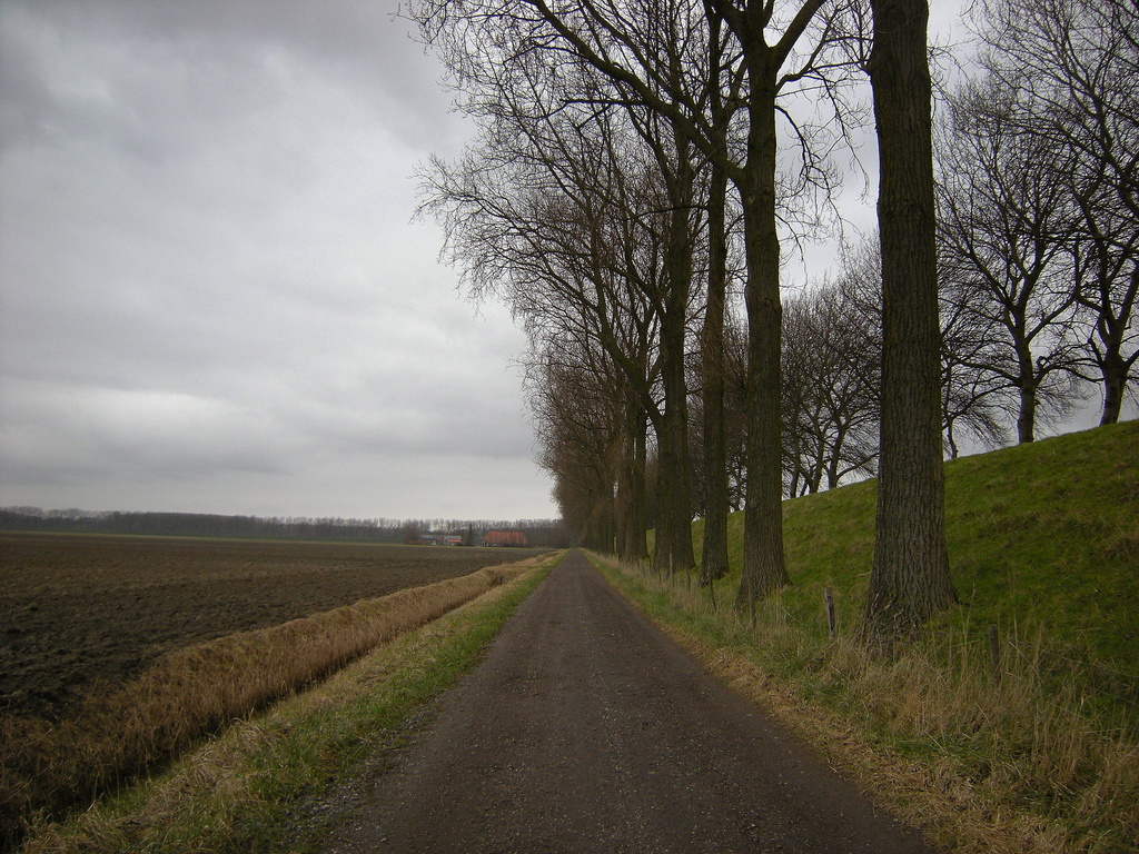 `` Slapersdijk ``  (and road to a farmhouse.) by pyrrhula