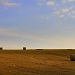 Straw Bales by andycoleborn