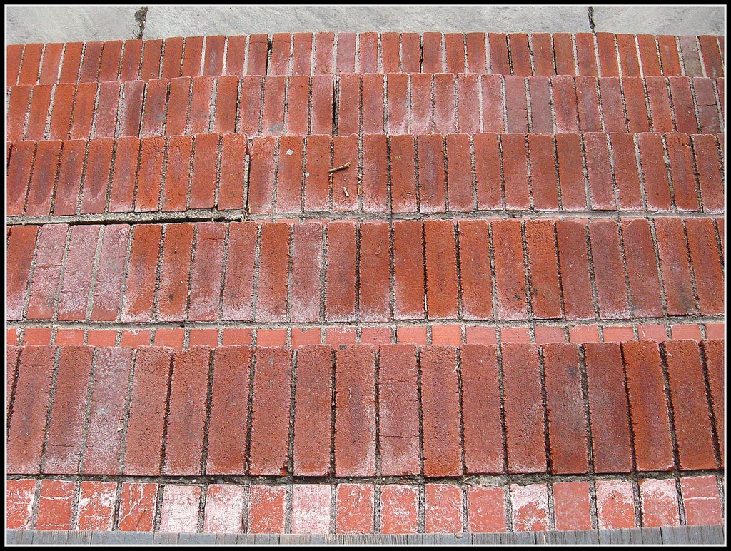 Brick Steps by olivetreeann