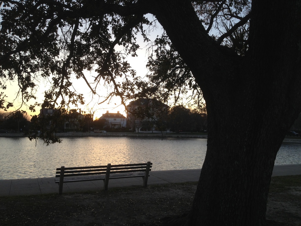 Colonial Lake at sunset, Charleston, SCd by congaree
