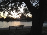 4th Mar 2013 - Colonial Lake at sunset, Charleston, SCd