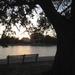 Colonial Lake at sunset, Charleston, SCd by congaree