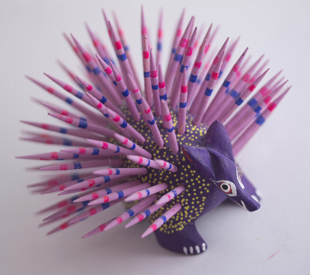 Porcupine by pdulis