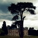 Lydiard Park by rich57