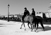 4th Mar 2013 - Horse mounted patrol