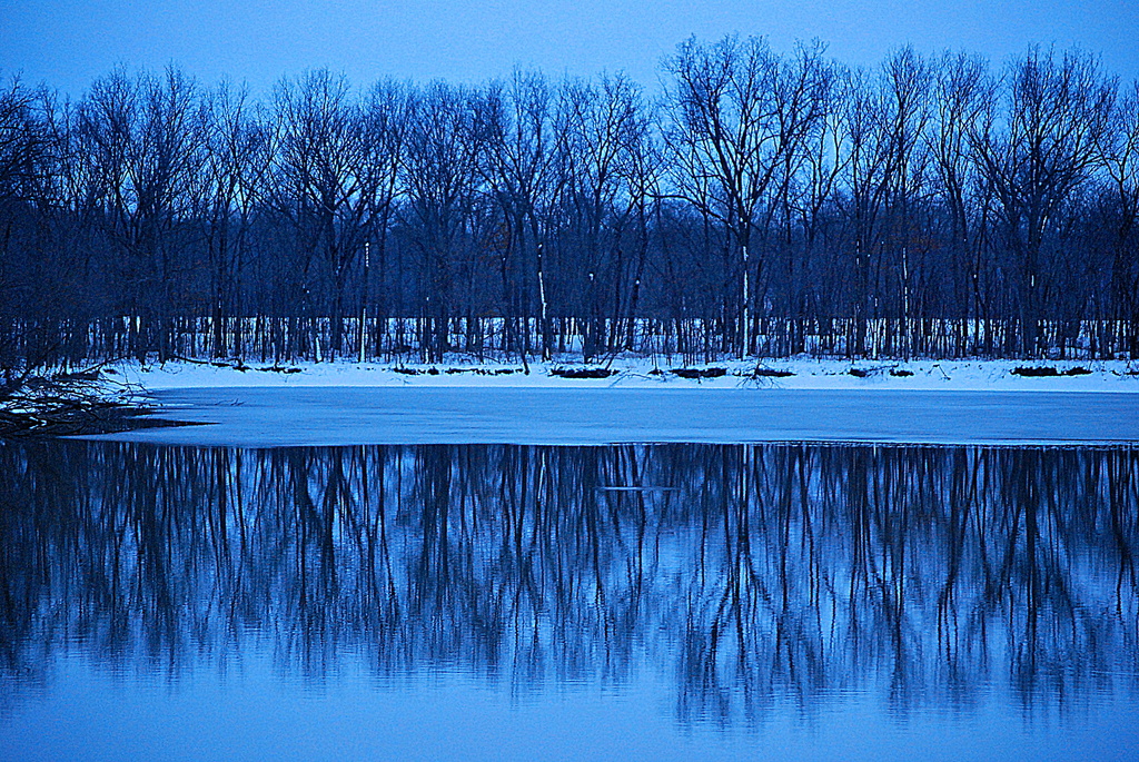 Winter Blues Times Two by kareenking