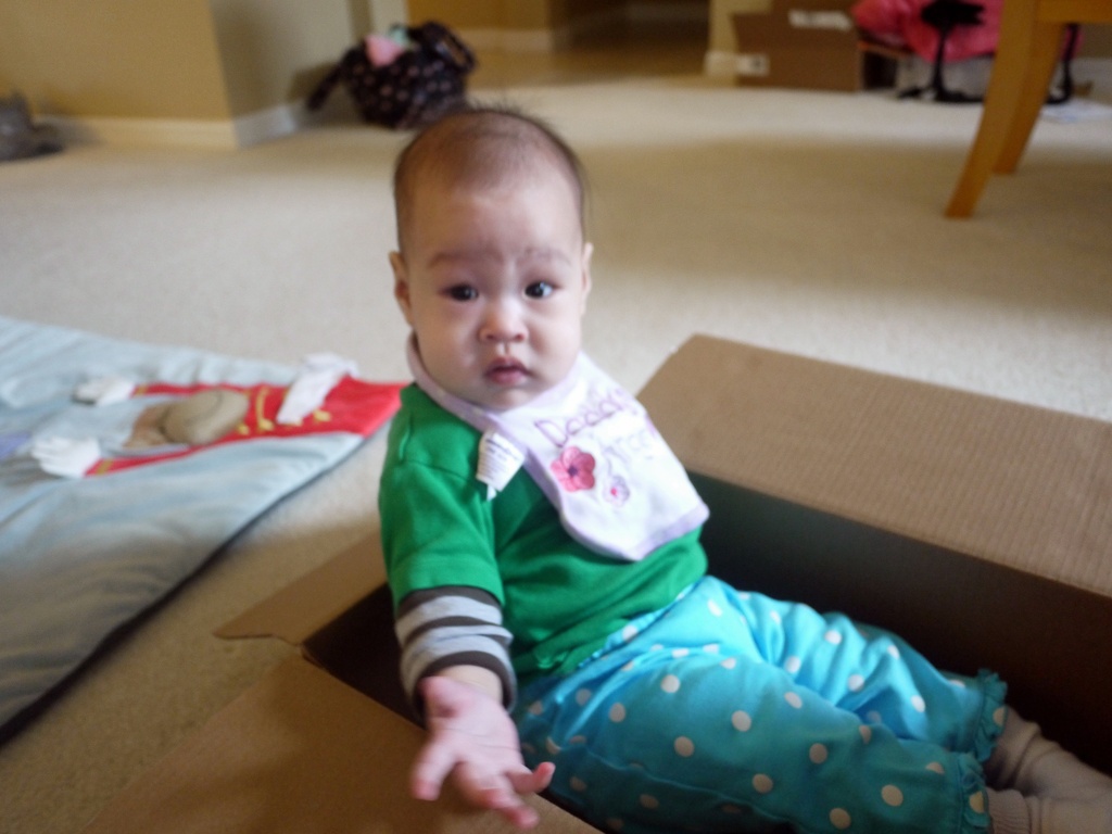 Baby in a Box by iamcathy