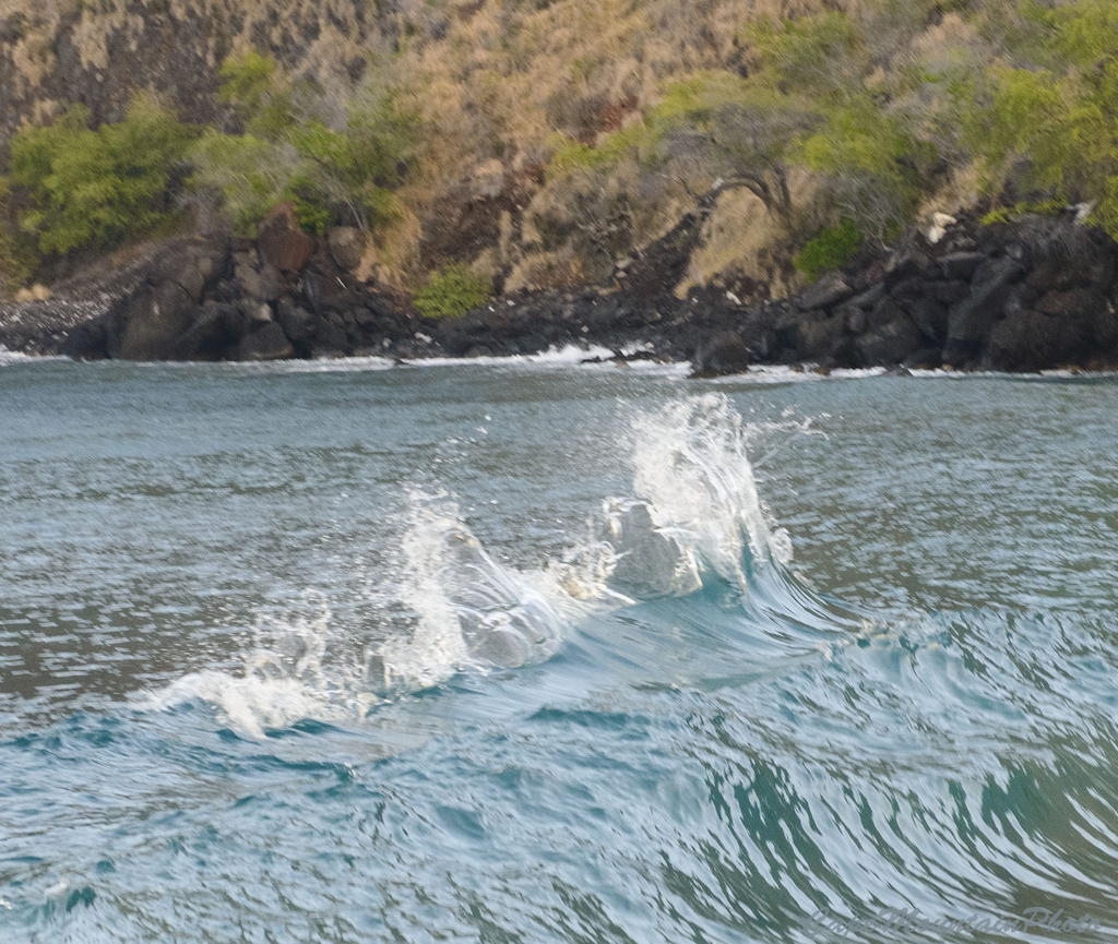 Back Splash at Kealekekua Bay  by jgpittenger