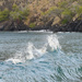 Back Splash at Kealekekua Bay  by jgpittenger
