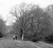 6th Mar 2013 - Lovers' Walk