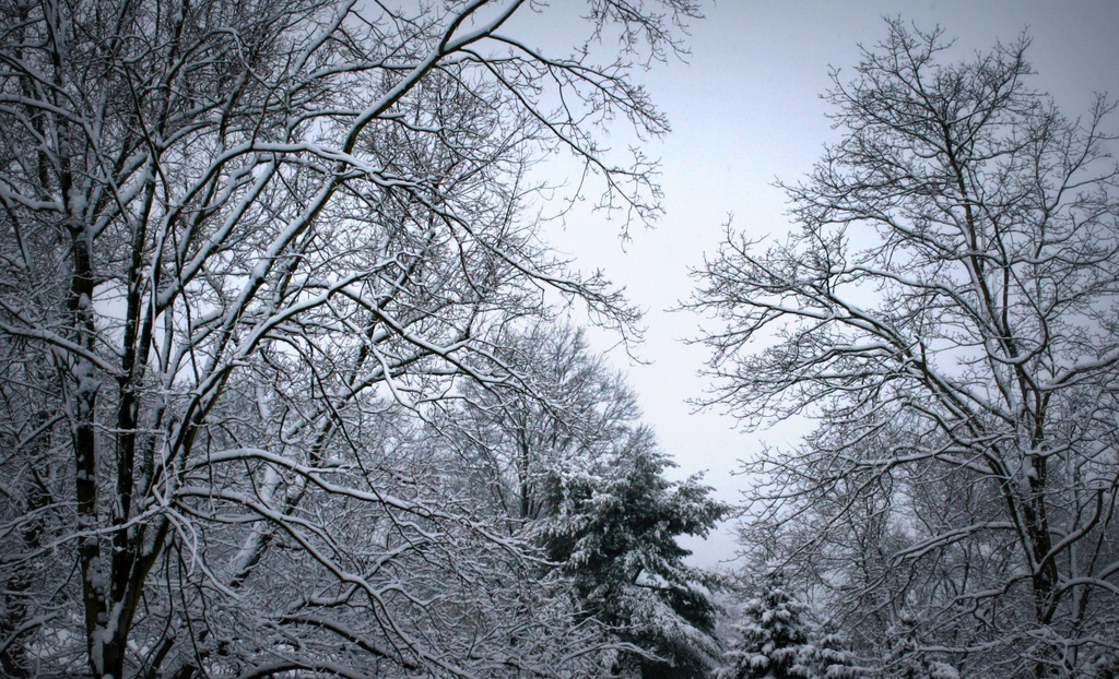 Winter wonderland by mittens