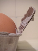28th Feb 2013 - The Good Egg