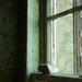 neg 10 stone window by ingrid2101