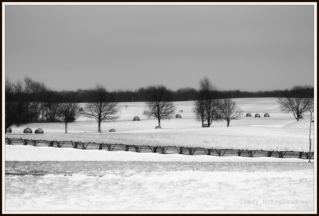 Haybales in the Snow by cindymc