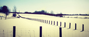 4th Mar 2013 - fences