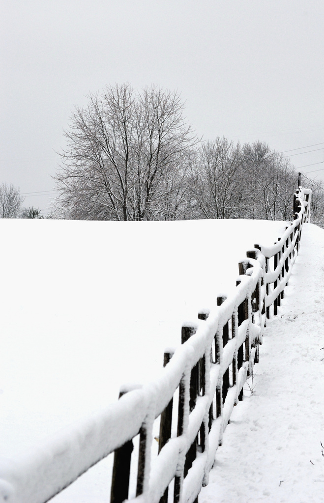 Lines in the Snow by alophoto