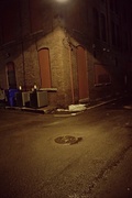 6th Mar 2013 - Alley Cat