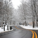 Winter Backroad by alophoto
