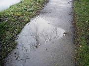 7th Mar 2013 - Puddles - first rain for 2 weeks