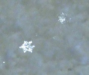 5th Mar 2013 - snowflake