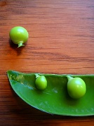 8th Aug 2010 - One, two, pea...