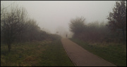 6th Mar 2013 - A misty morning walk in the Hobbucks