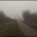 A misty morning walk in the Hobbucks by phil_howcroft