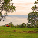 A man and his tractor by corymbia