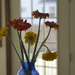 Dying Gerber Daisies (sp?) by ggshearron