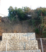 9th Mar 2013 - Landslide