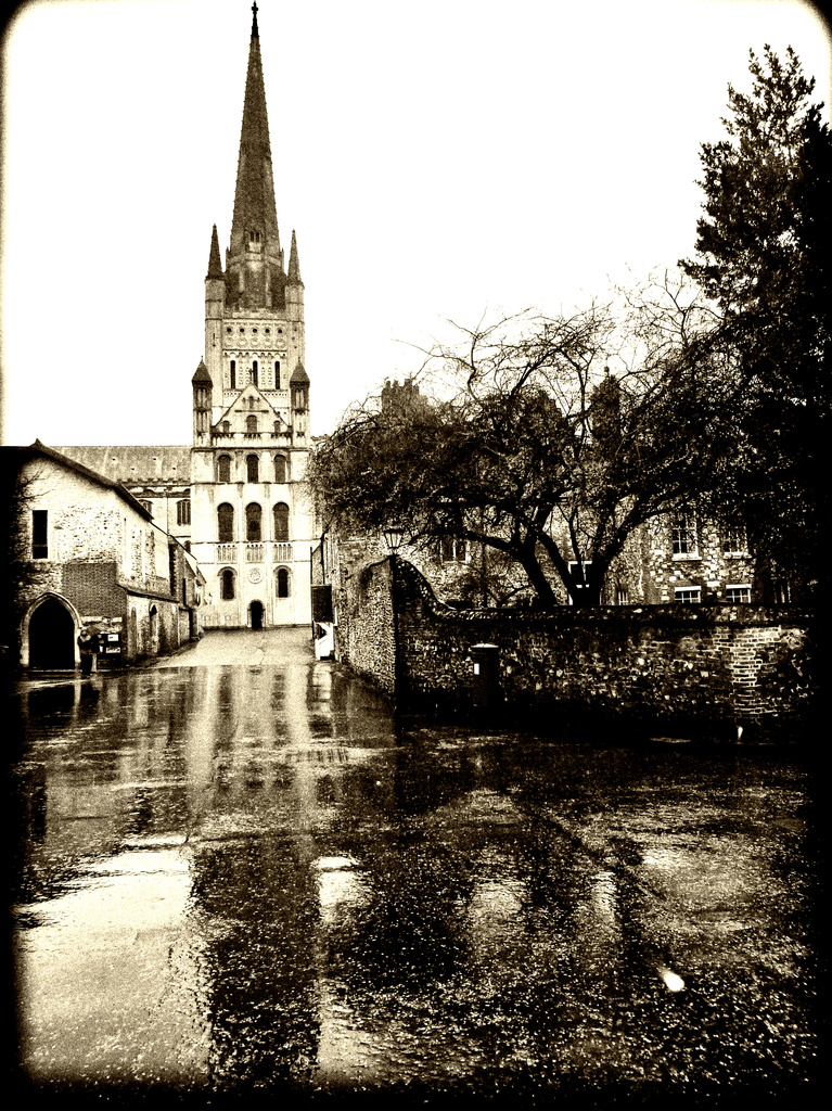 Norwich Cathedral by seanoneill