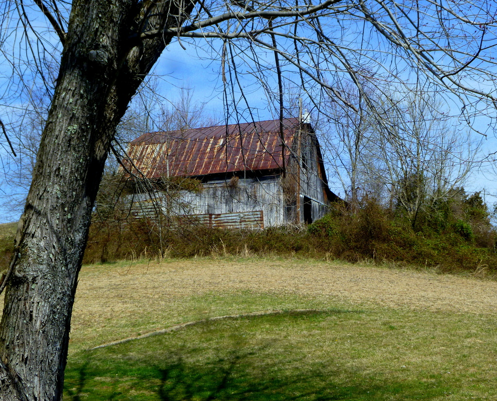 Barn in the Brambles by calm