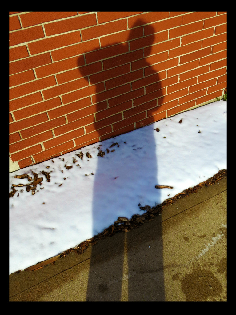 Shadow Selfie by juliedduncan