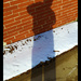 Shadow Selfie by juliedduncan