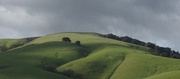 10th Mar 2013 - Winter Rain Brings Green to the Hills